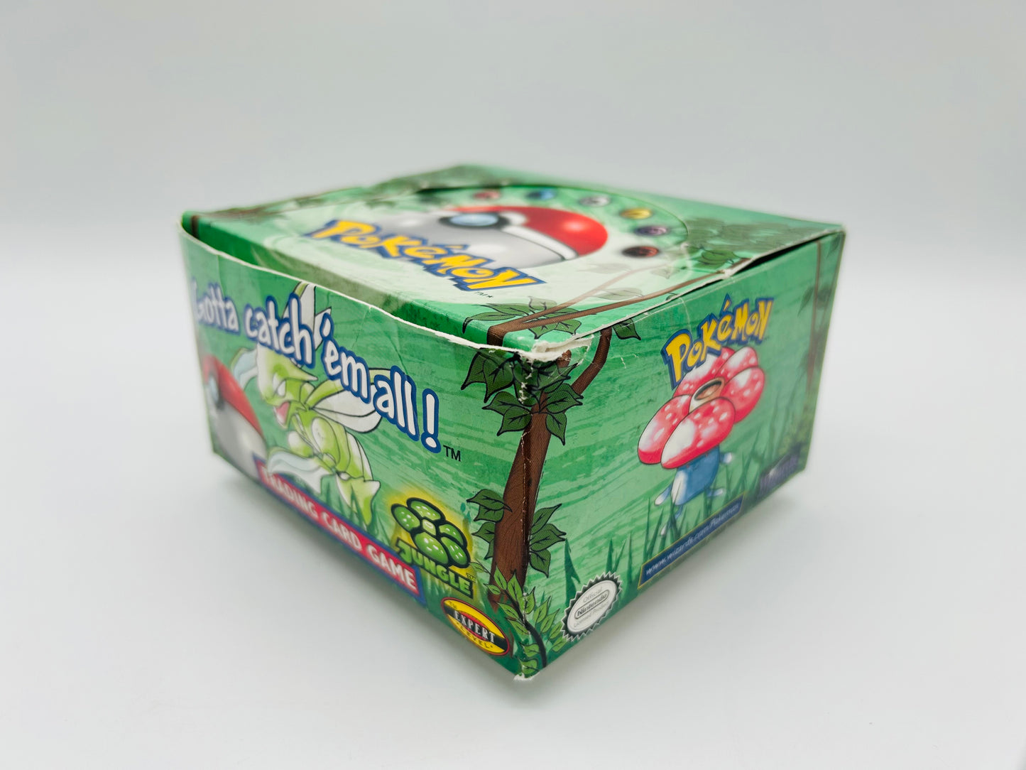 Pokémon Dschungel/Jungle Set/Display [ENG] / [Leer] + Acryl-Case