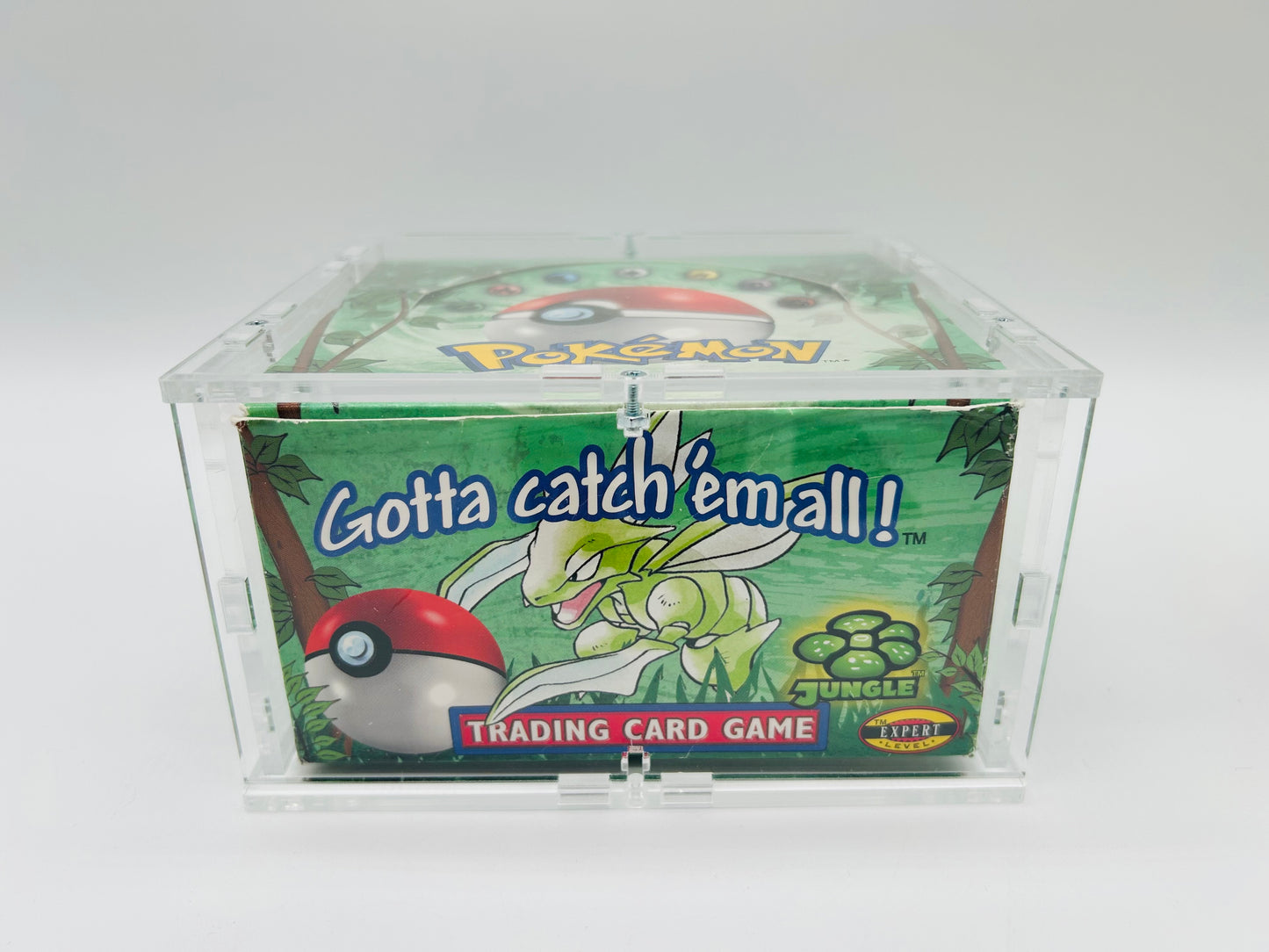 Pokémon Dschungel/Jungle Set/Display [ENG] / [Leer] + Acryl-Case