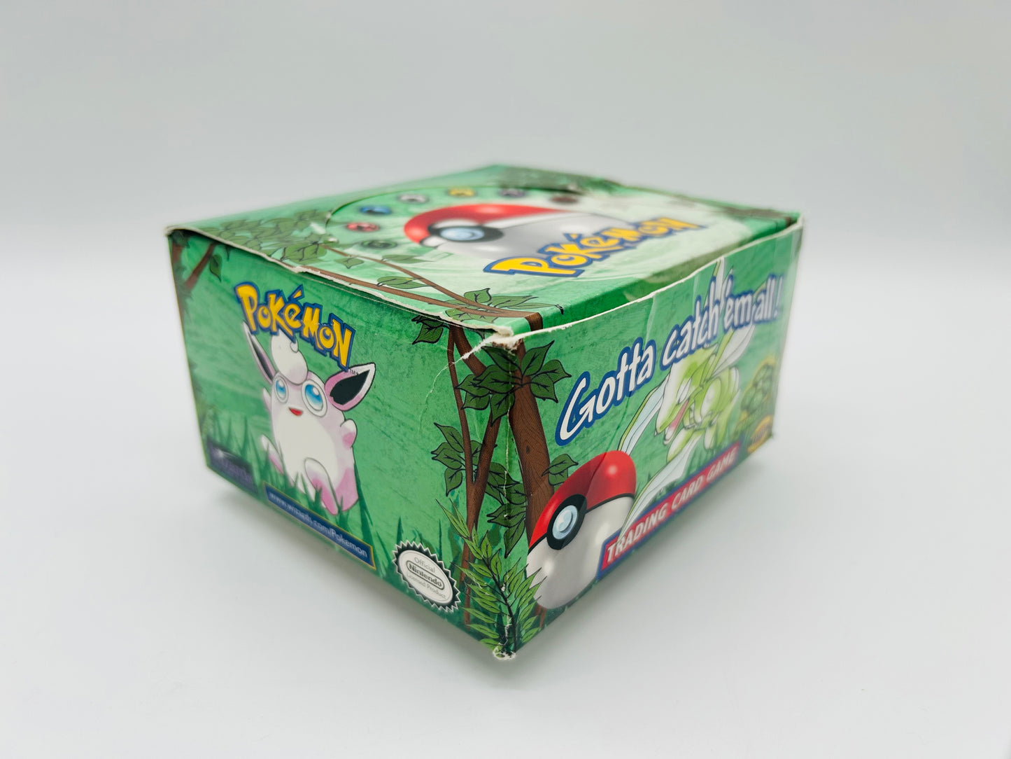 Pokémon Dschungel/Jungle Set/Display [ENG] / [Leer] + Acryl-Case