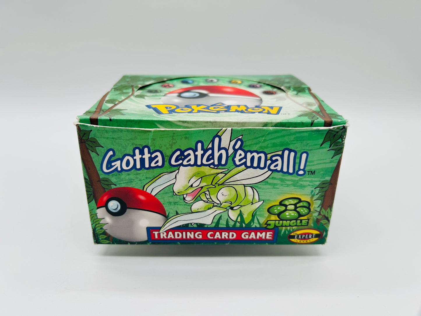 Pokémon Dschungel/Jungle Set/Display [ENG] / [Leer] + Acryl-Case