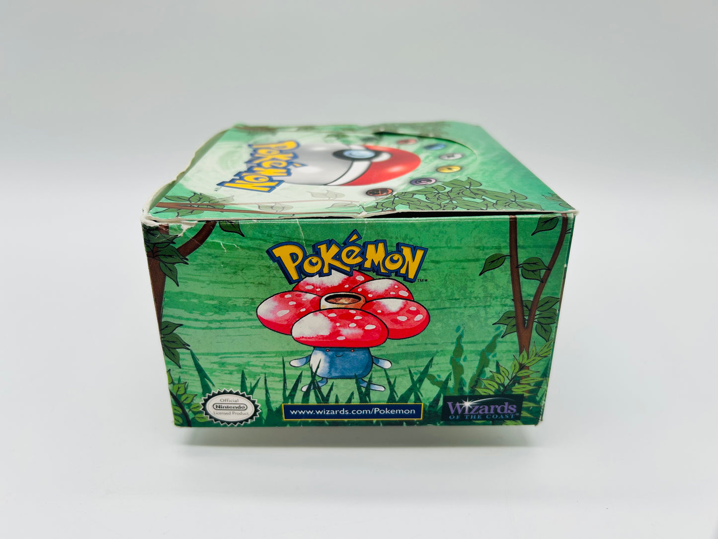 Pokémon Dschungel/Jungle Set/Display [ENG] / [Leer] + Acryl-Case