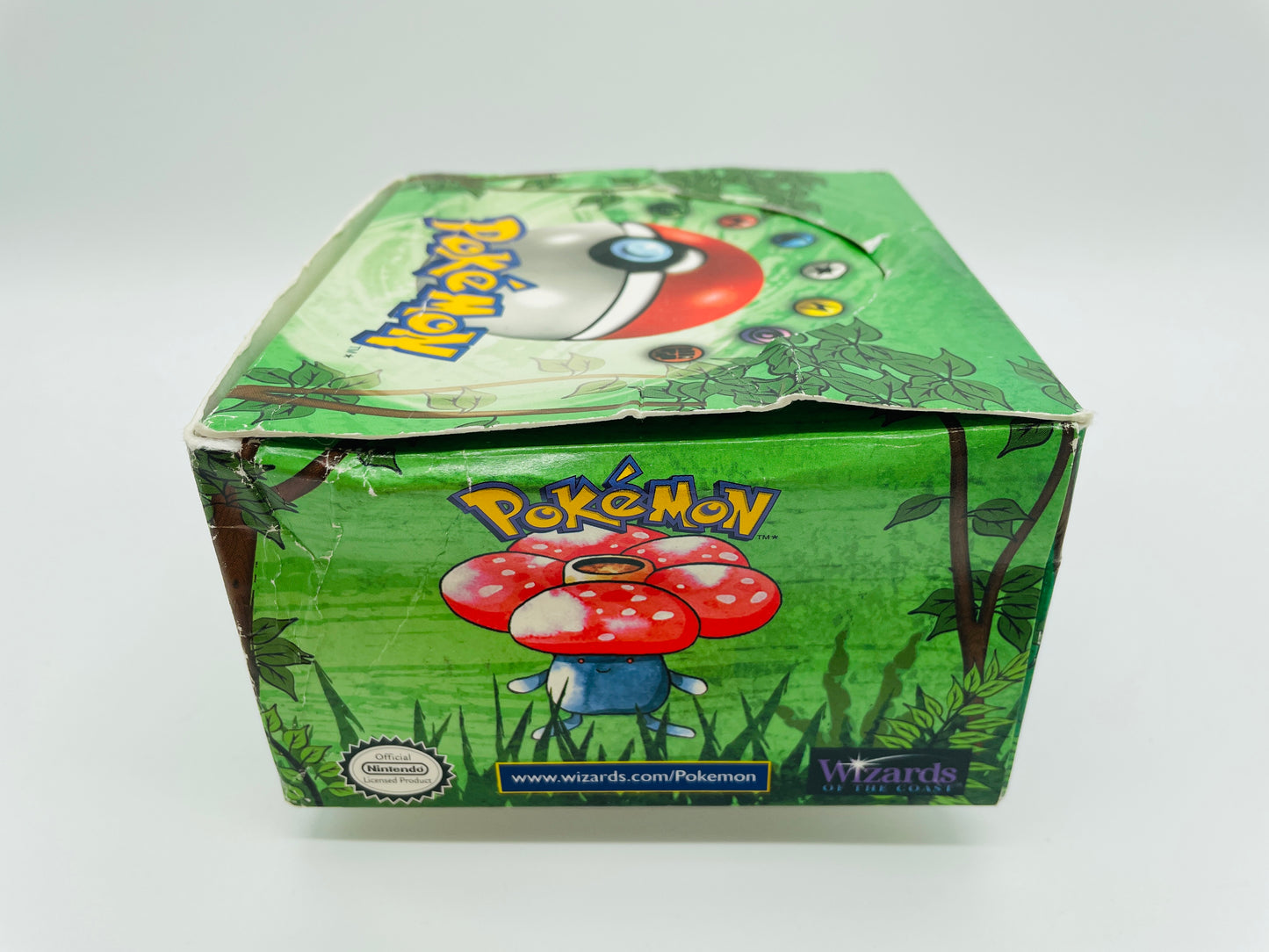 Dschungel/Jungle Set/Display EN (Leer) + Acryl-Case