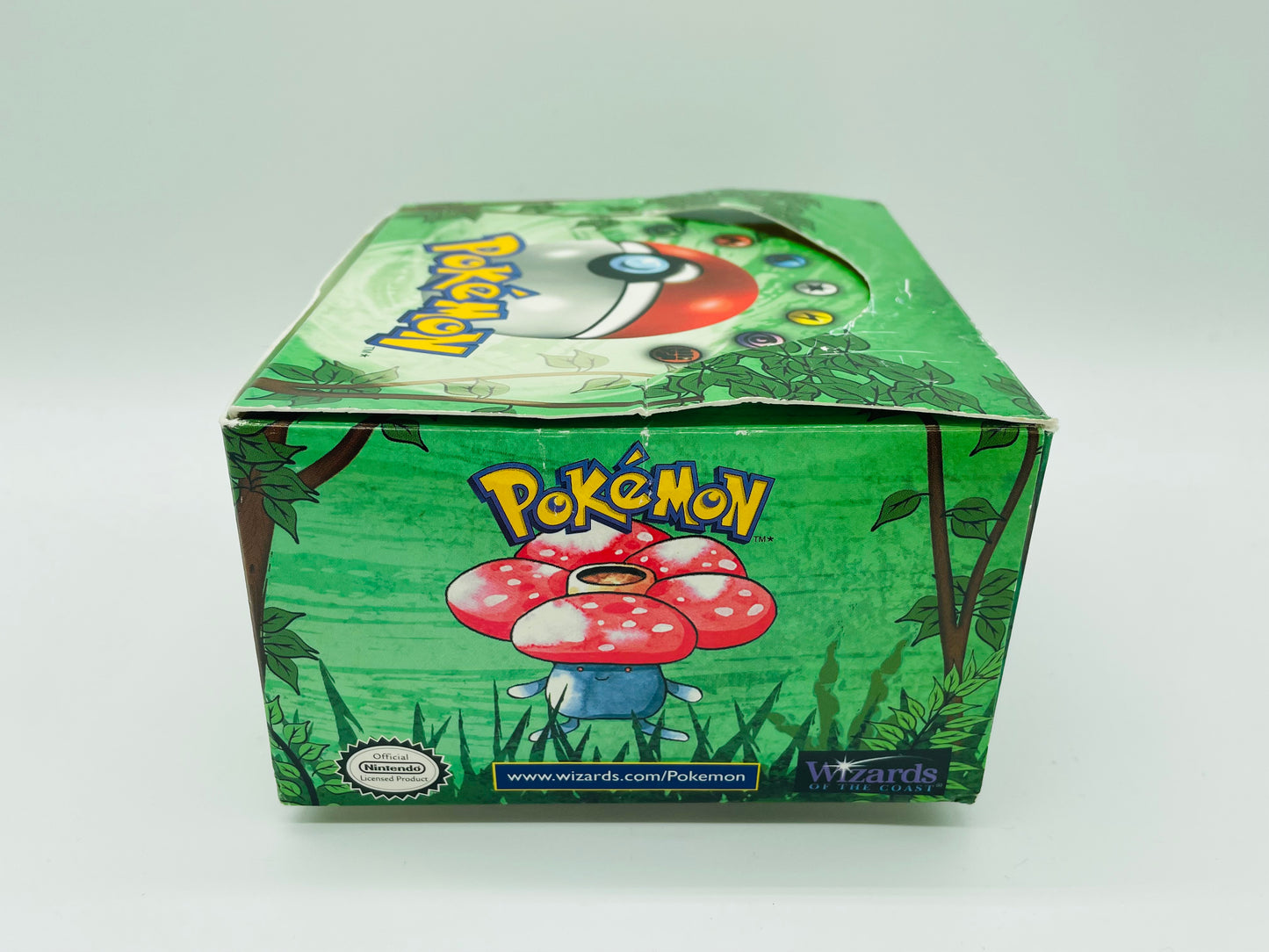 Pokémon Dschungel/Jungle Set/Display [ENG] / [Leer] + Acryl-Case