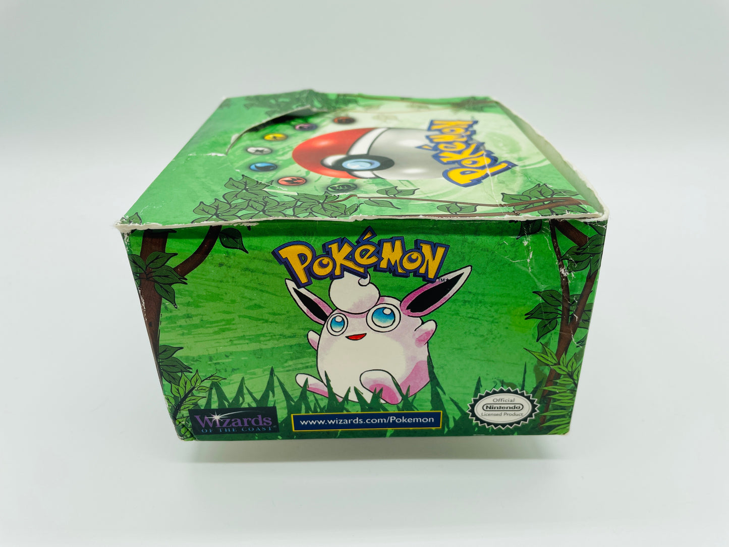 Dschungel/Jungle Set/Display EN (Leer) + Acryl-Case